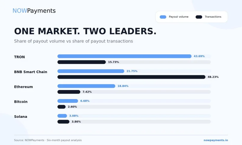NOWPayments Releases Cross-Chain Payout Data Revealing Key Performance Benchmarks Across TRON, BNB Chain, and Solana